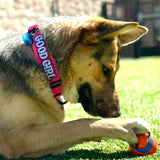 Good Girl Morale Patch - TANK TINKER