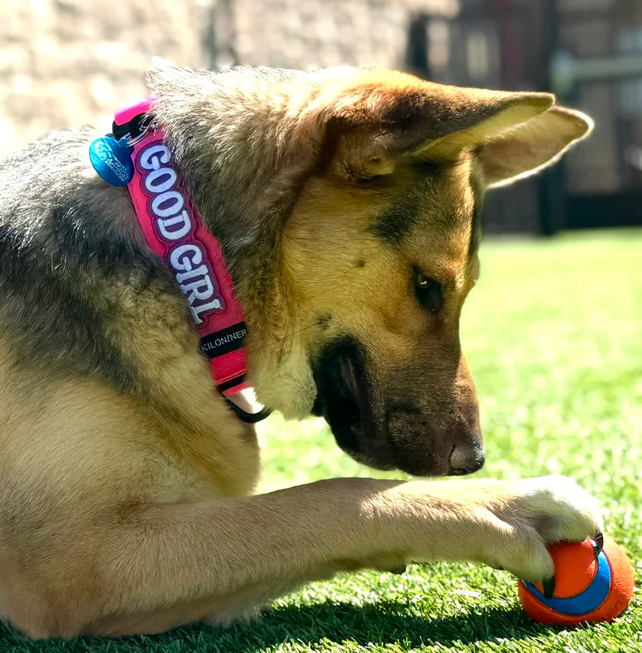 Good Girl Morale Patch - TANK TINKER