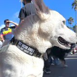 MY MOM AND I - Morale Patch - TANK TINKER