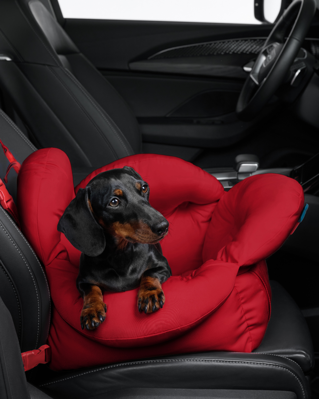 Strawberry Car Seat Pet Carrier - TANK TINKER