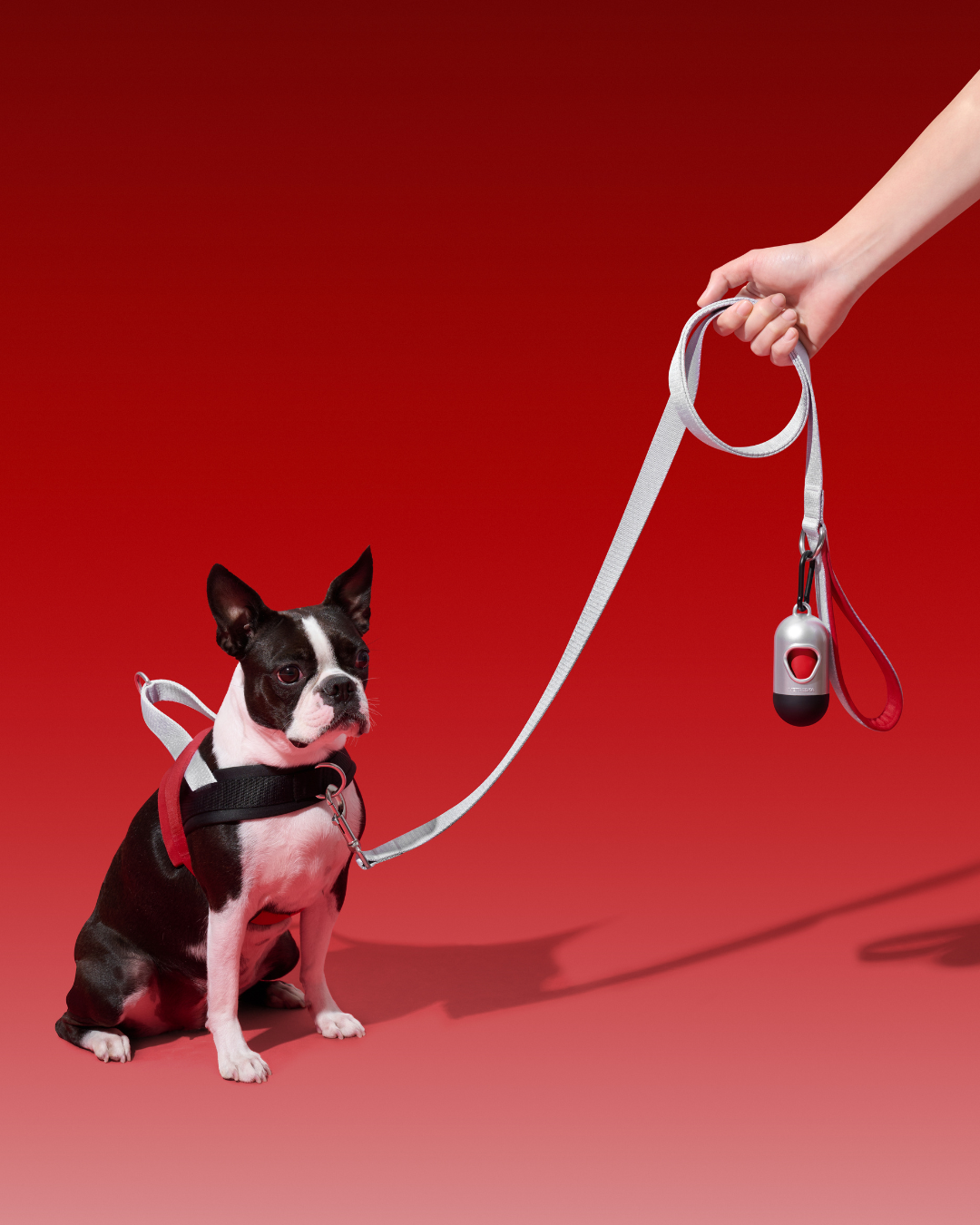 Ollie Bearman Circuit Collection - Quick Fit Pet Harness & Leash Set - TANK TINKER