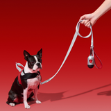Ollie Bearman Circuit Collection - Quick Fit Pet Harness & Leash Set - TANK TINKER