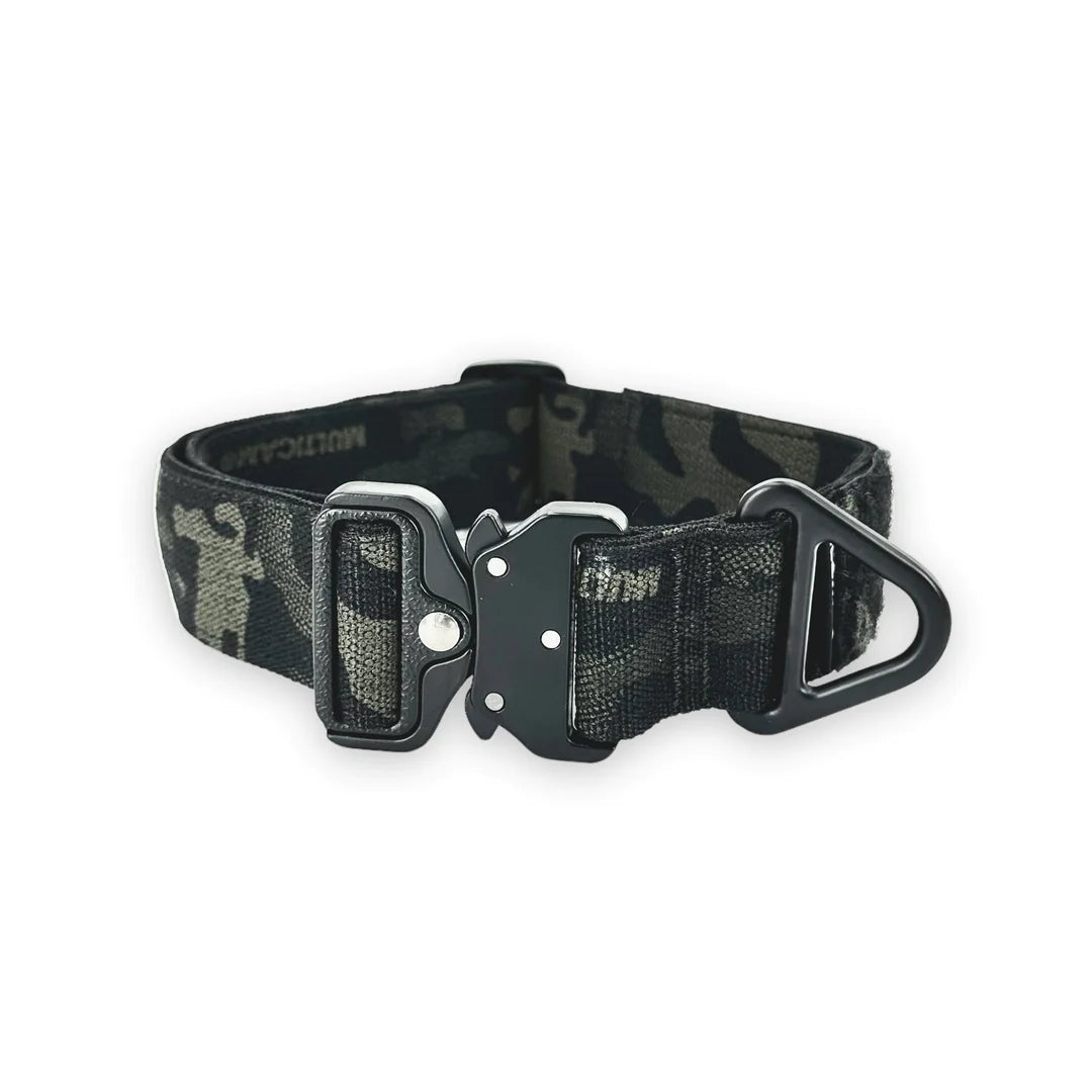 BCH Big Dog Collar Heavy Duty TANK TINKER