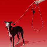 Ollie Bearman Circuit Collection - Connect Multifunction Hands-Free Rope Leash For Pets - TANK TINKER