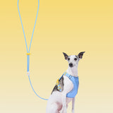 Connect (Premium) Classic Rope Leash for Pets - TANK TINKER
