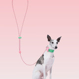 Connect (Premium) Classic Rope Leash for Pets - TANK TINKER