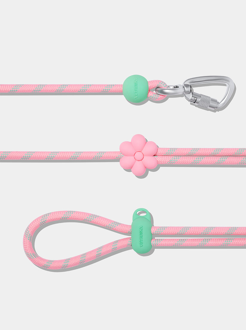 Connect (Premium) Classic Rope Leash for Pets - TANK TINKER