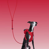 Connect (Premium) Classic Rope Leash for Pets - TANK TINKER