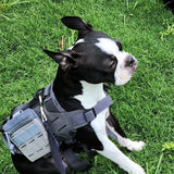 MOLLE Pocket Pouch - TANK TINKER