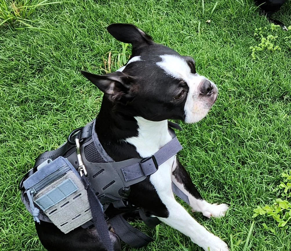 MOLLE Pocket Pouch - TANK TINKER