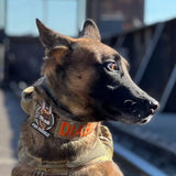 FUR MISSILE - Morale Patch - TANK TINKER