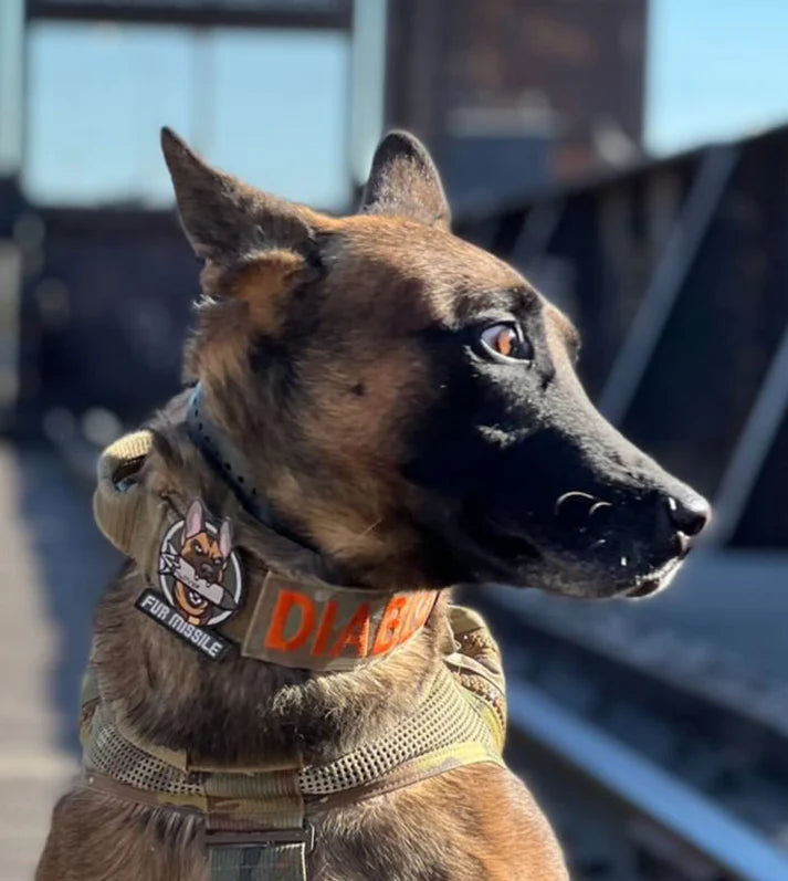 FUR MISSILE - Morale Patch - TANK TINKER