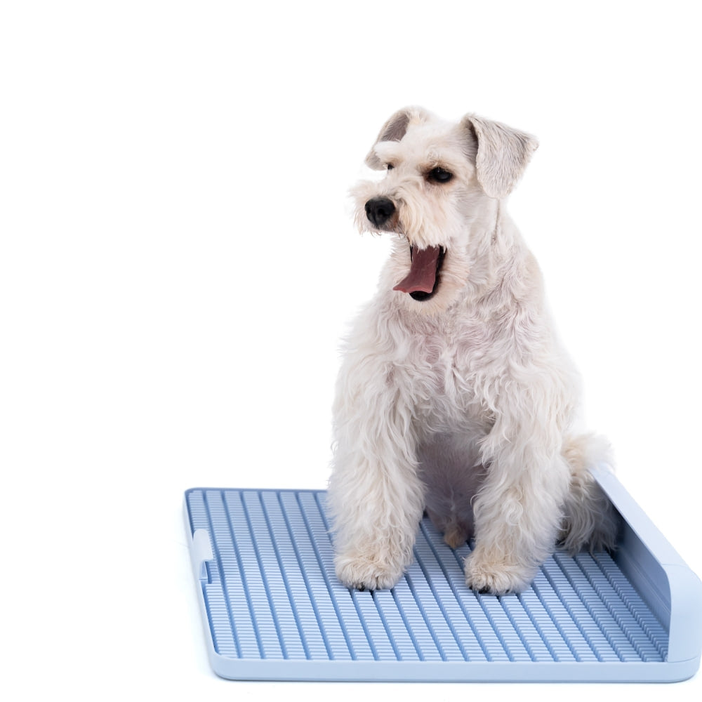 Standard Protrusion Potty Pad (Size S) - TANK TINKER