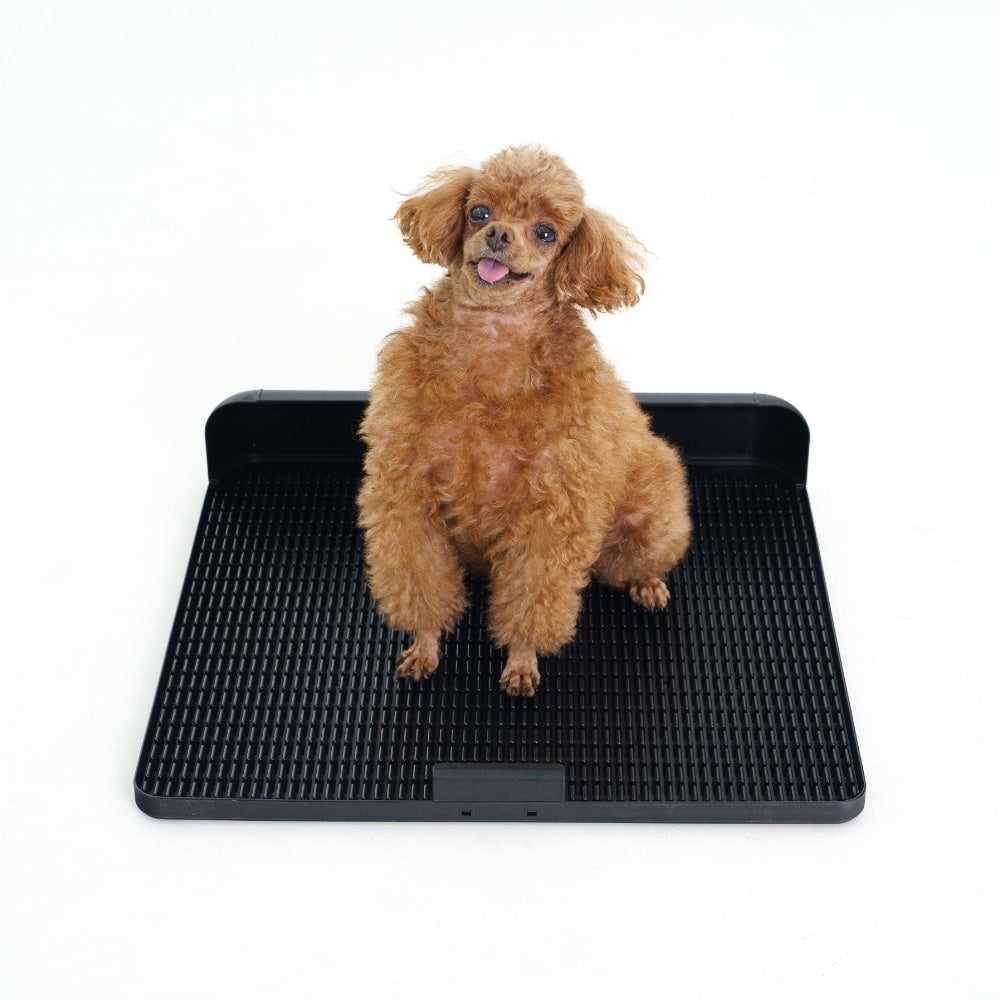 Standard Protrusion Potty Pad (Size S) - TANK TINKER