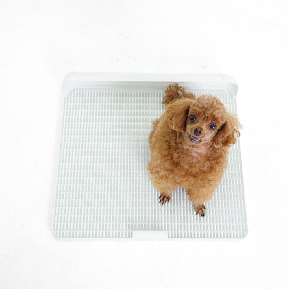 Standard Protrusion Potty Pad (Size S) - TANK TINKER