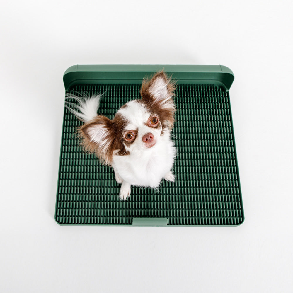 Standard Protrusion Potty Pad (Size S) - TANK TINKER