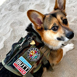 MINI CORGI SQUAD - Morale Patch - TANK TINKER