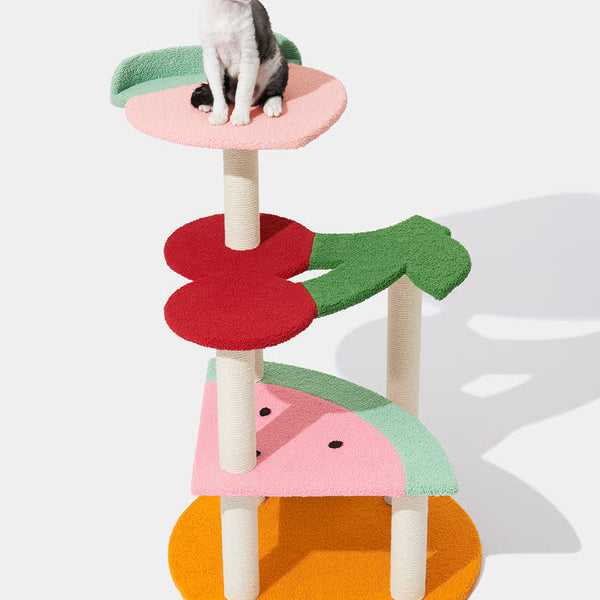 Fruit Frenzy Cat Climber - TANK TINKER
