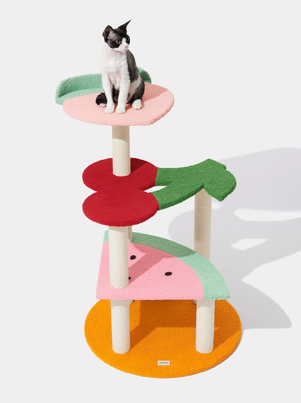 Fruit Frenzy Cat Climber - TANK TINKER