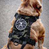 ชุดรัดอกสุนัข M1 Lightspeed Harness Laser Cut