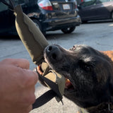 TUG-N-TRAIN Tug Toy - TANK TINKER