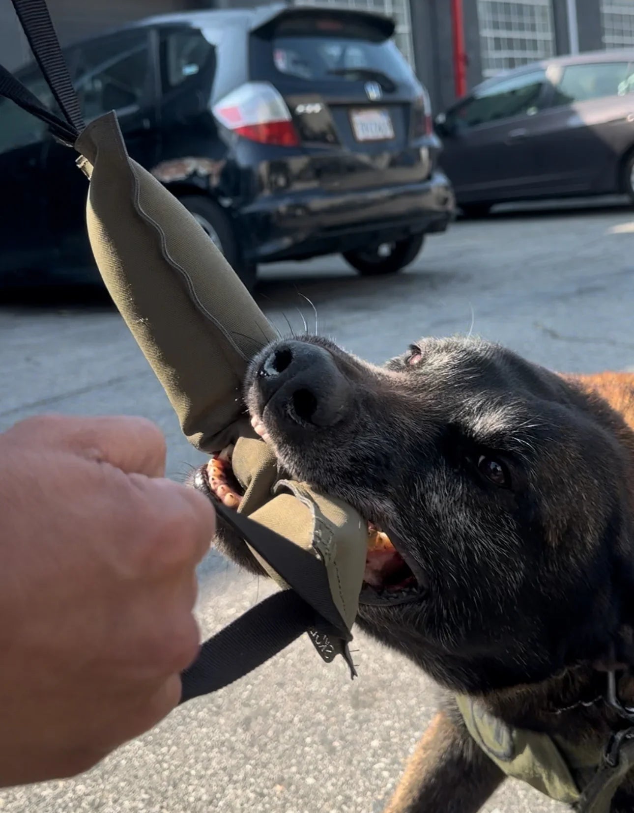 TUG-N-TRAIN Tug Toy - TANK TINKER