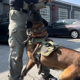 TUG-N-TRAIN Tug Toy - TANK TINKER