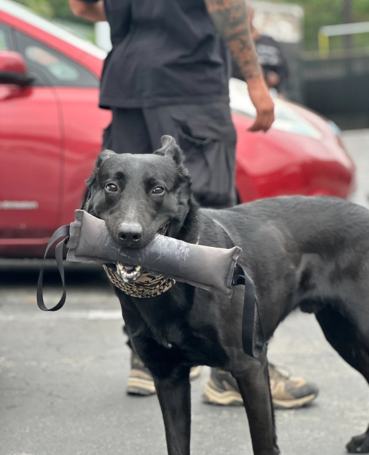 TUG-N-TRAIN Tug Toy - TANK TINKER