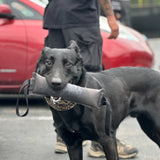 TUG-N-TRAIN Tug Toy - TANK TINKER