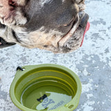 CB1 COLLAPSIBLE DOG BOWL - Update Design - TANK TINKER