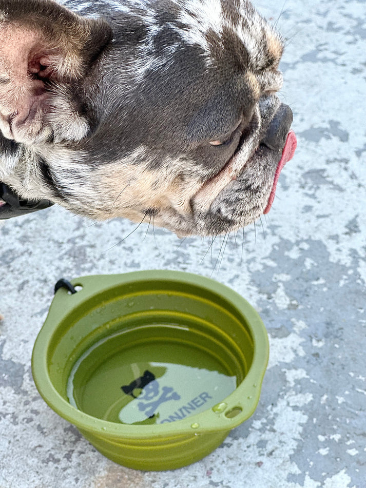 CB1 COLLAPSIBLE DOG BOWL - Update Design - TANK TINKER