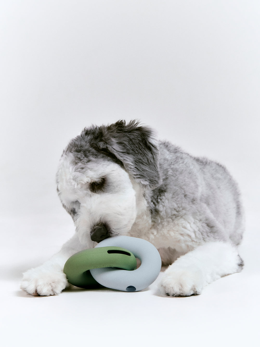 Gori - Nose work toy for dogs - TANK TINKER