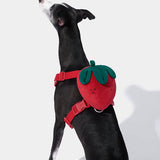 Strawberry Pet Backpack & Harness 3 in 1 Set - TANK TINKER