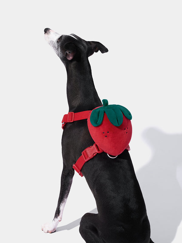 Strawberry Pet Backpack & Harness 3 in 1 Set - TANK TINKER