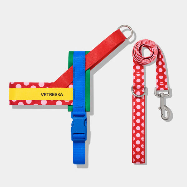 Chroma Pet Harness & Leash Set (Red) - TANK TINKER