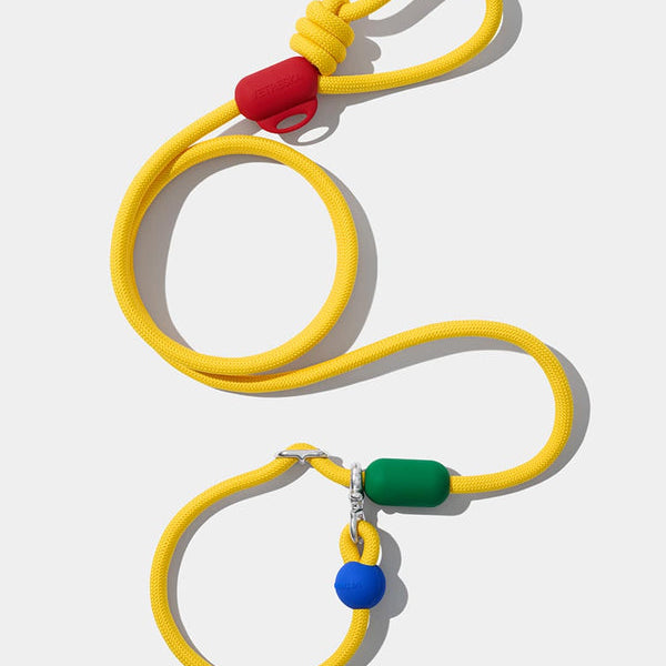 Chroma Connect Hands-Free Rope Leash - TANK TINKER