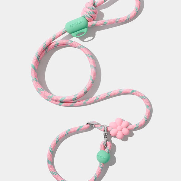 Flora Connect Hands-Free Rope Leash - TANK TINKER