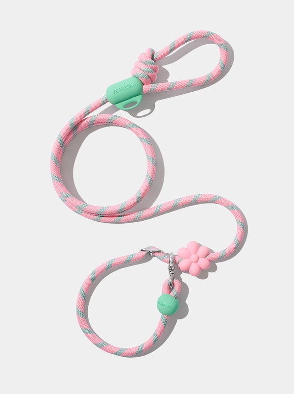 Flora Connect Hands-Free Rope Leash - TANK TINKER