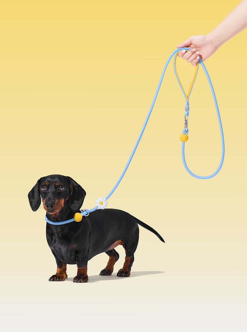 Connect Lite Rope Leash for Pets - TANK TINKER