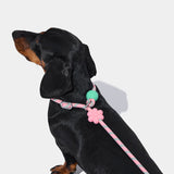 Connect Lite Rope Leash for Pets - TANK TINKER