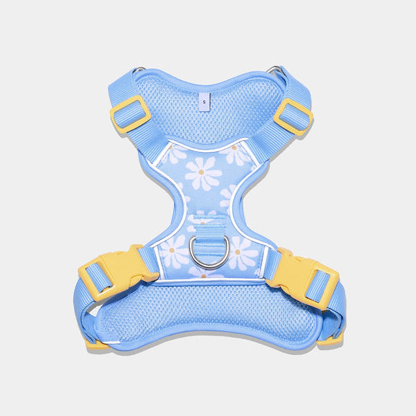 Daisy Pet Harness & Leash Set - TANK TINKER