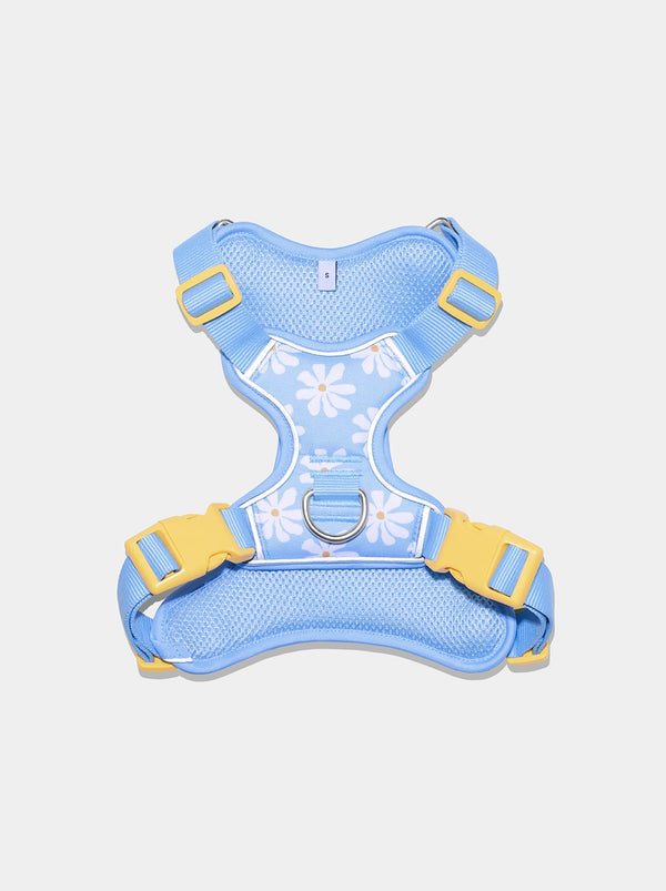 Daisy Pet Harness & Leash Set - TANK TINKER