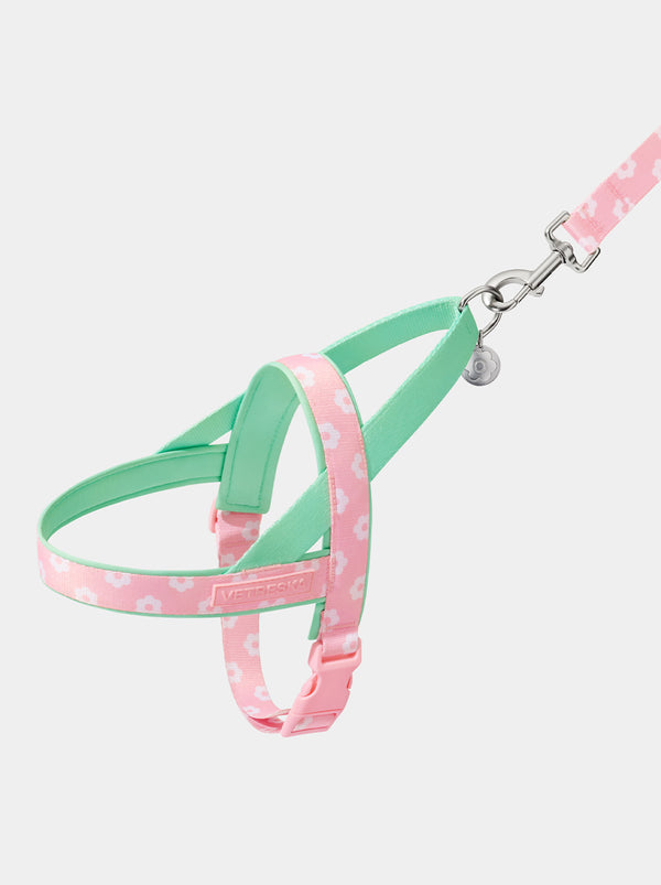 Flora Pet Harness & Leash Set - TANK TINKER
