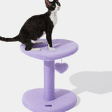 Heartpurrple Cat Climber - TANK TINKER