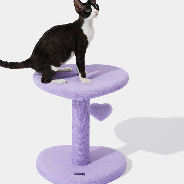 Heartpurrple Cat Climber - TANK TINKER