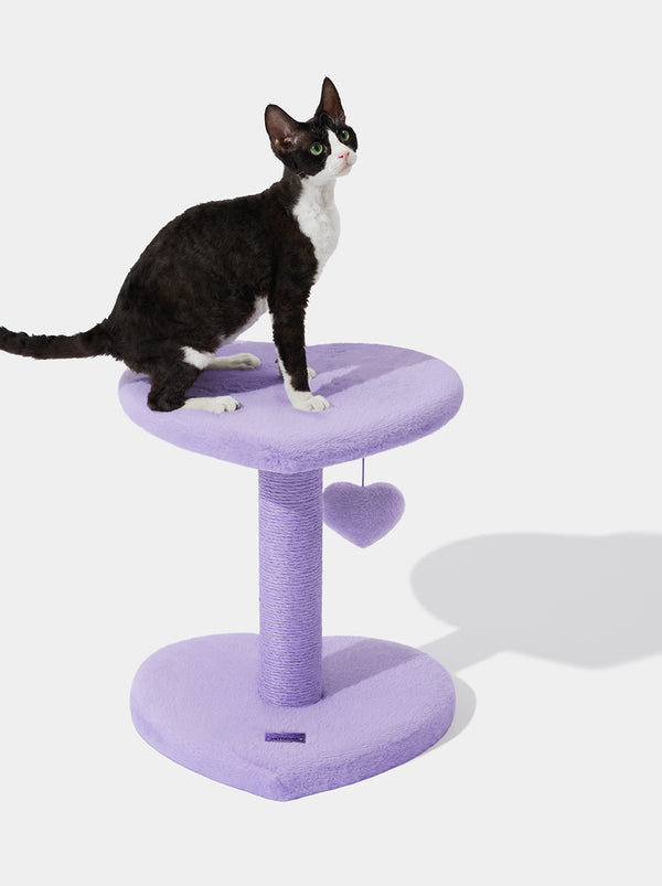 Heartpurrple Cat Climber - TANK TINKER