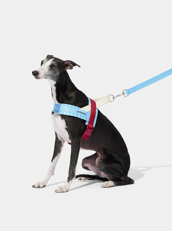 Mist and Merlot Pet Harness & Leash Set - TANK TINKER