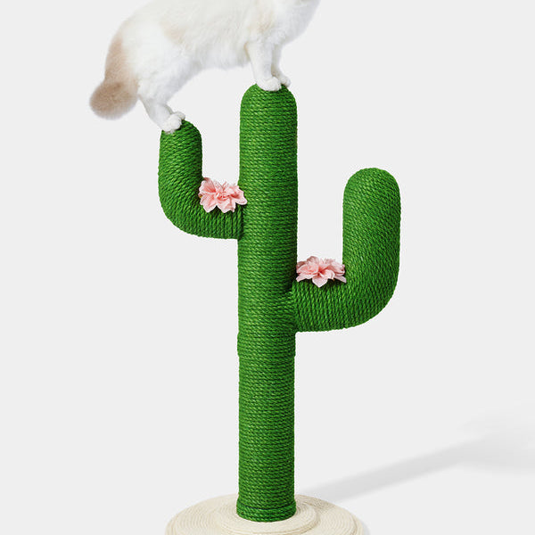 Oasis Cactus Cat Tree 31" - TANK TINKER