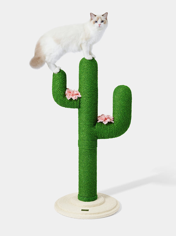 Oasis Cactus Cat Tree 31" - TANK TINKER