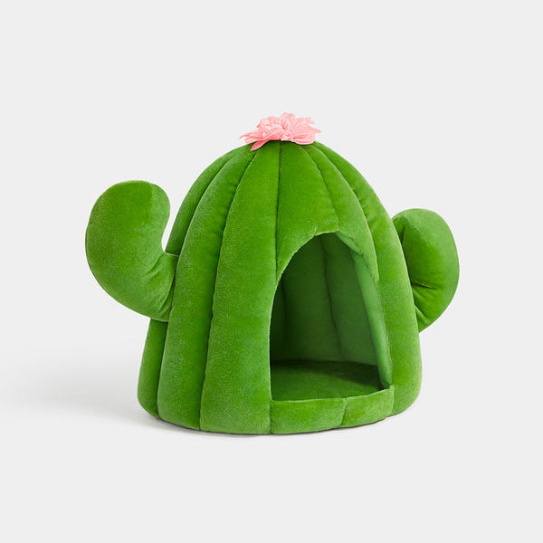 Oasis Cactus Pet Bed - TANK TINKER
